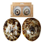 Paire de coquillages d’allaitement #1