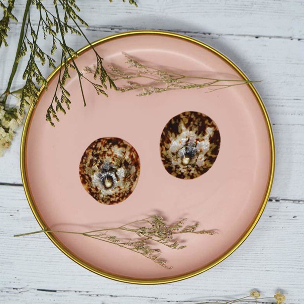 Paire de coquillages d’allaitement #1