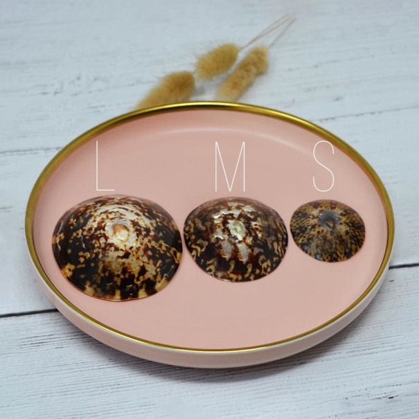 Paire de coquillages d’allaitement